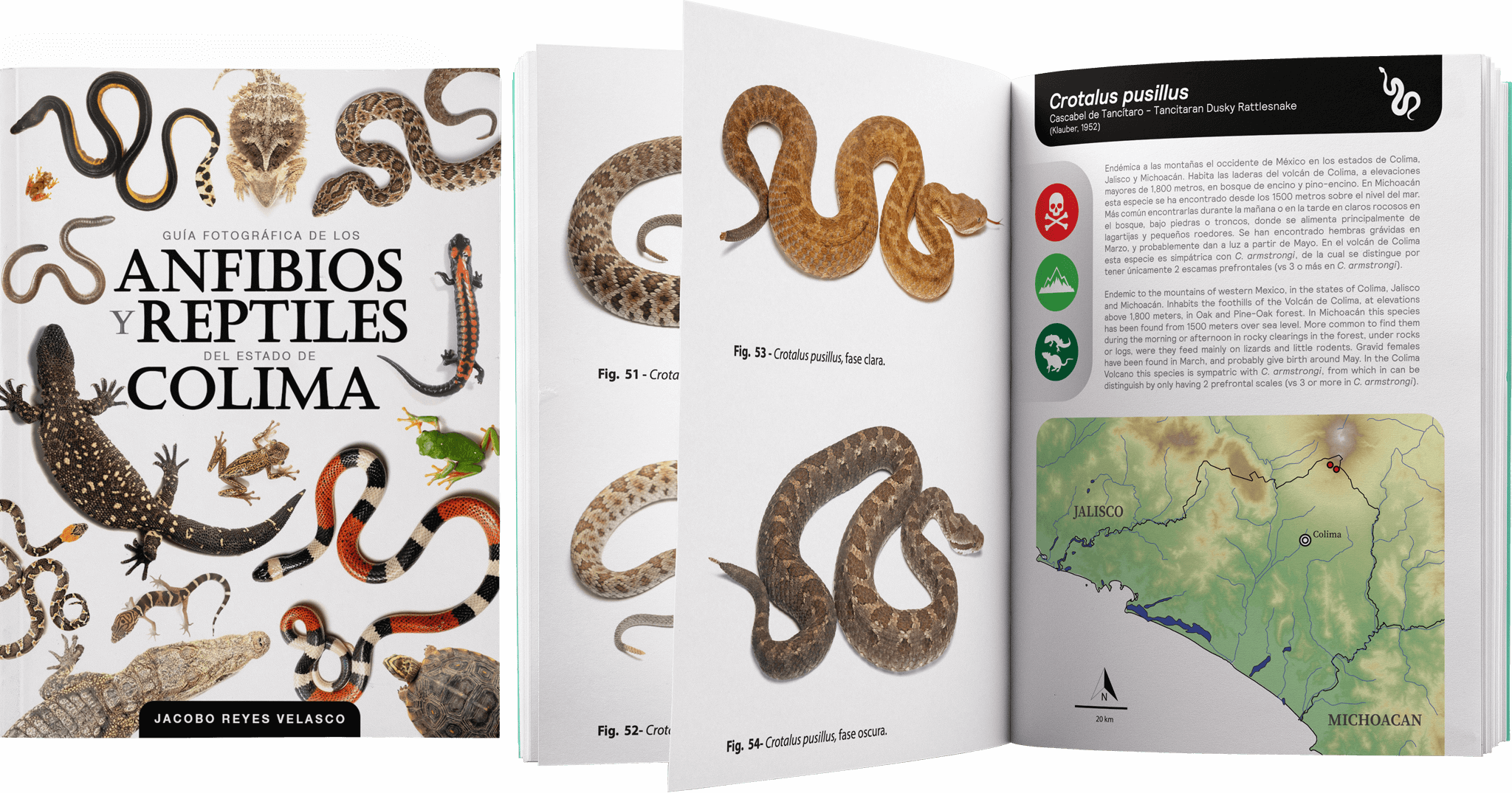 A Guide to the Reptiles and Amphibians of the state of Colima
